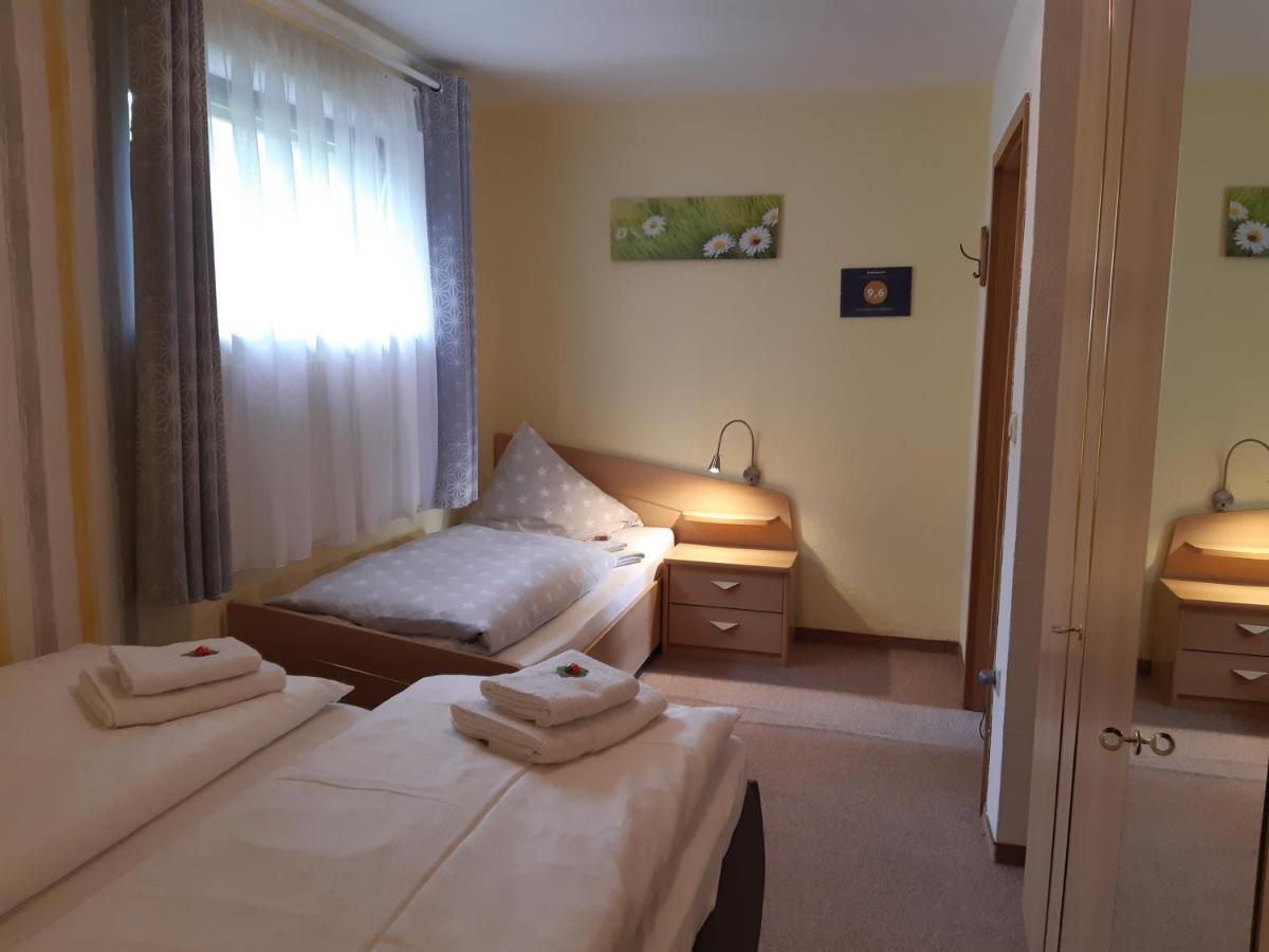 Ferienwohnung Reissmann Heinsdorfergrund Екстериор снимка